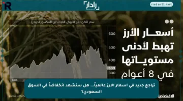 تراجع جديد في أسعار الأرز عالمياً… هل سنشهد انخفاضاً في السوق السعودي؟
